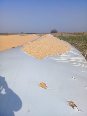 Inseguridad rural: otra vez rompieron silobolsas en Córdoba 1 silobolsa2