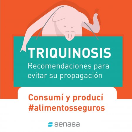 triquinosis senasa