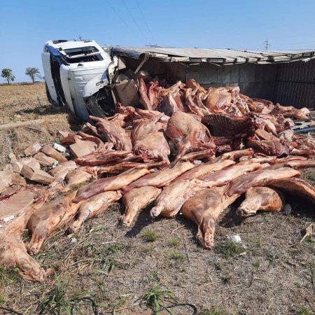 Un camión volcó en Córdoba y un grupo de personas saqueó la carga 1 volco camion cordoba infocampo