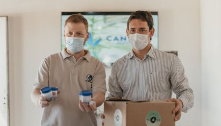 Semillas de cannabis en San Juan