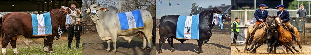 Exposicion Nacional de Razas - Expoagro