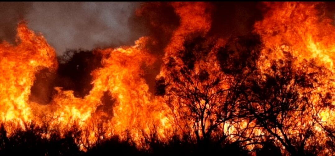 Incendios en San Luis