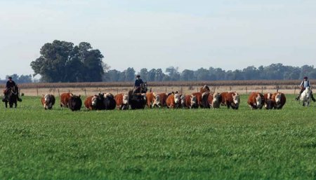 Producción sostenible