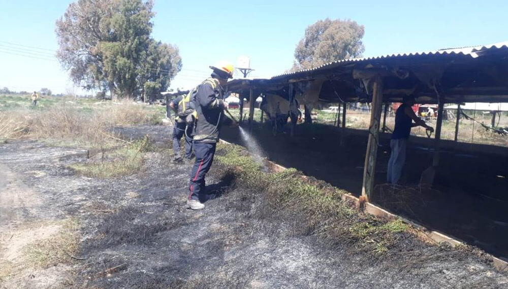 Incendio Avícola