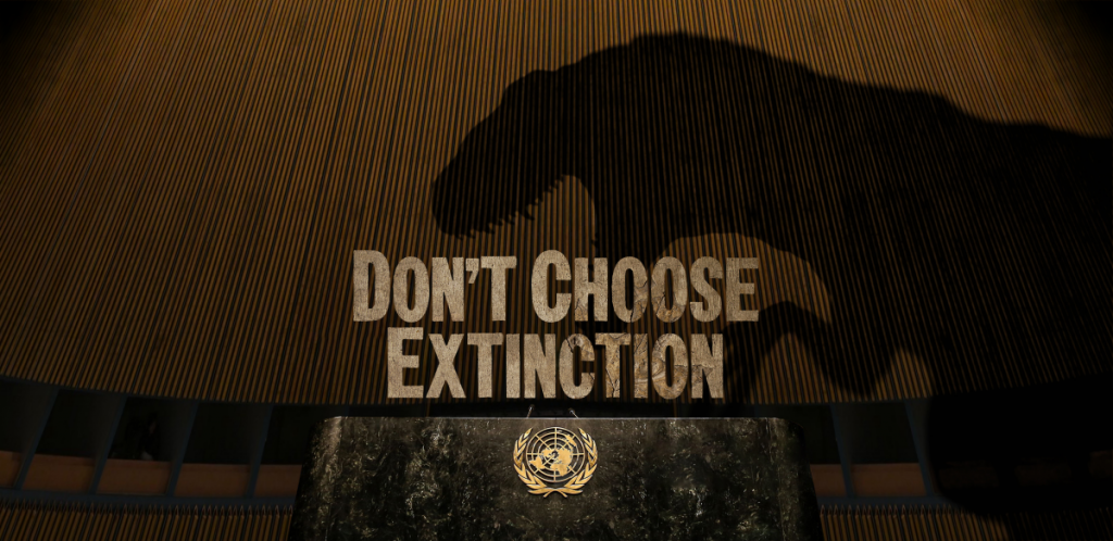 No elijas la extincion