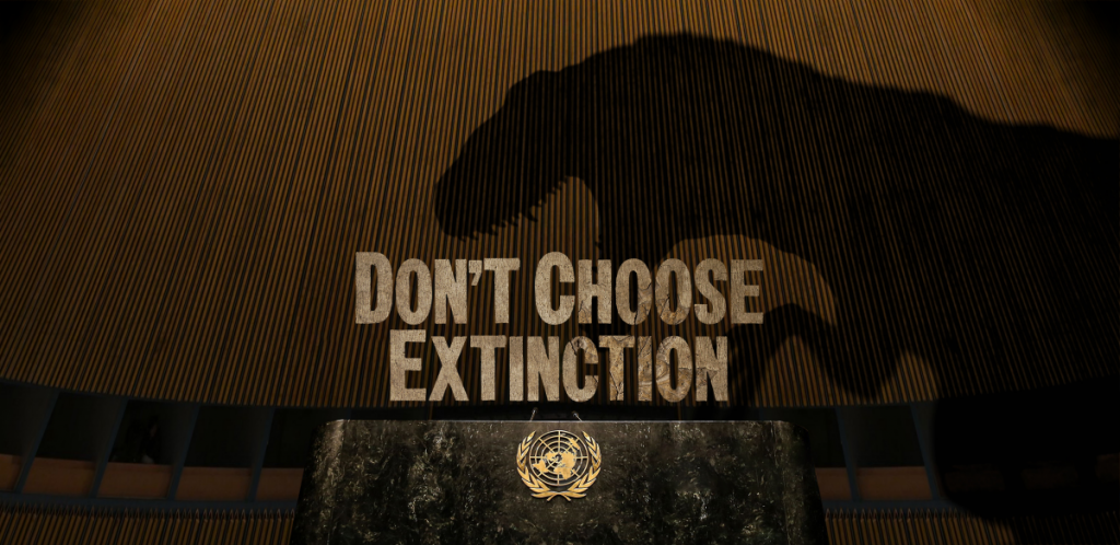 El dinosaurio de la ONU que pidió “no elegir la extinción” 1 No elijas la extincion