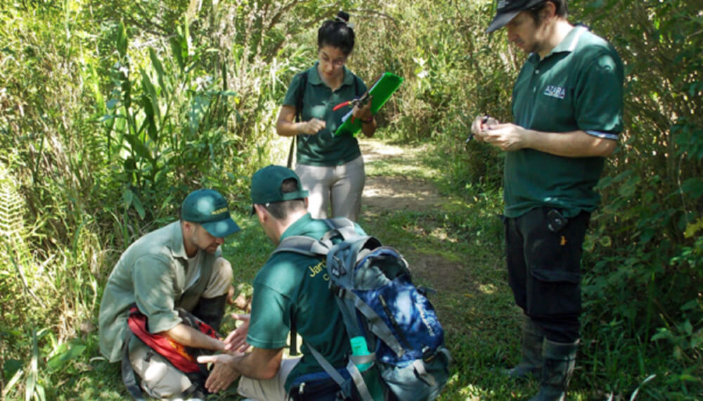 Plan para reforestar el paraná