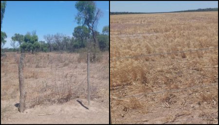 Sequia en Santiago del Estero