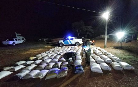 Incautaron 17 toneladas de granos de contrabando en Misiones 1 el soberbio
