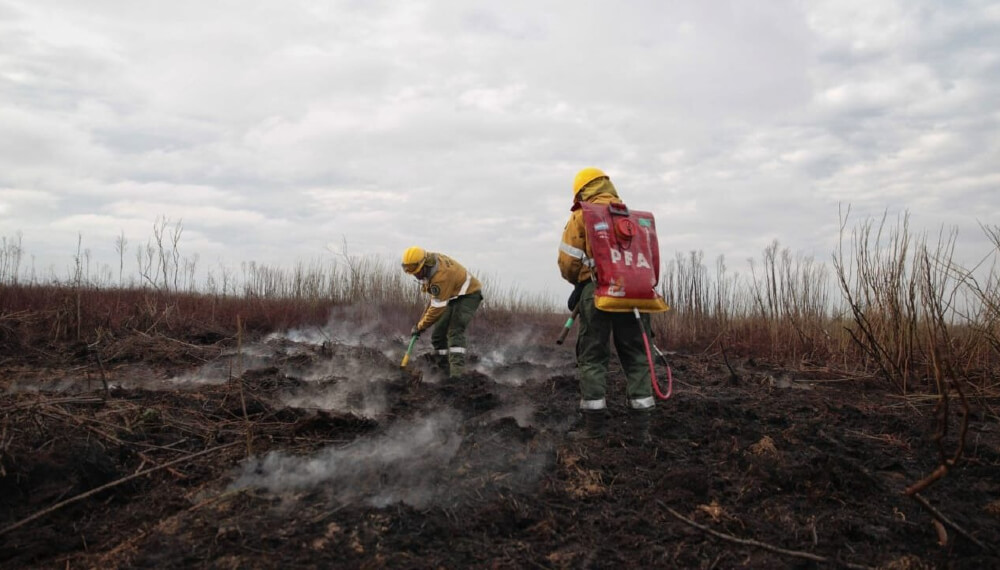 Incendios en el Delta