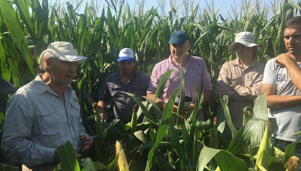 Emilio Satorre en el campo con productores