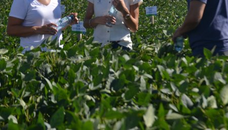 Soja - Fertilizacion foliar