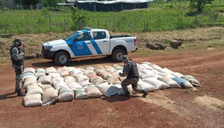 Cargamento ilegal de granos