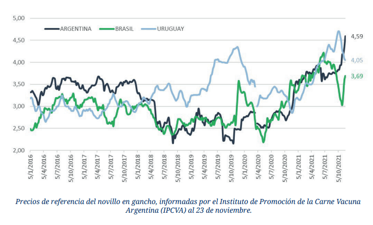 Novillo argentino: el más caro de la región 1 novillo precio 16 21