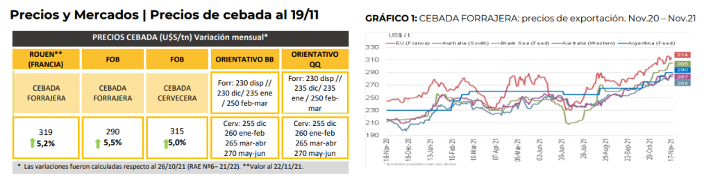 precios cebada