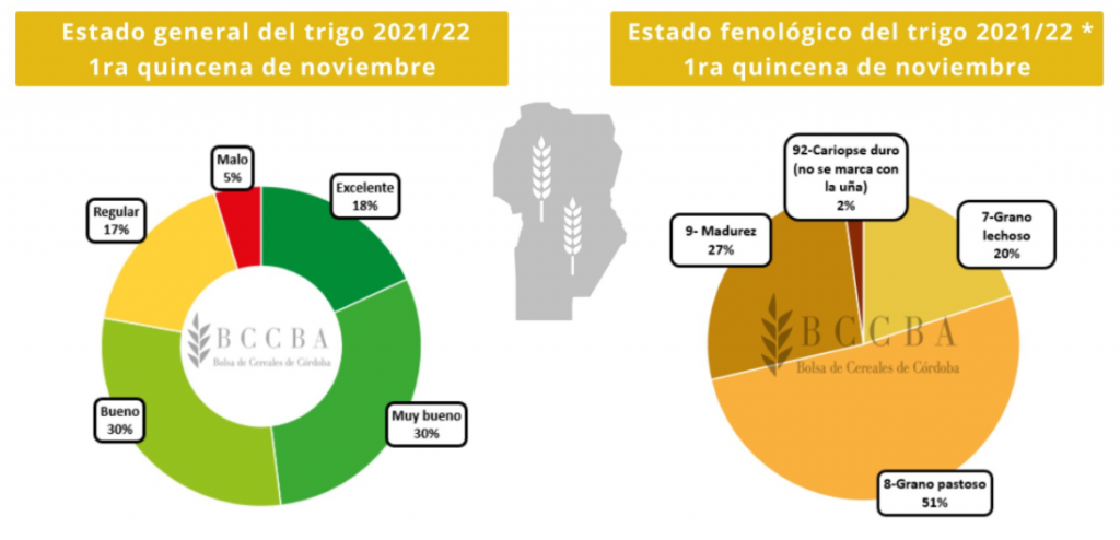 trigo cordoba