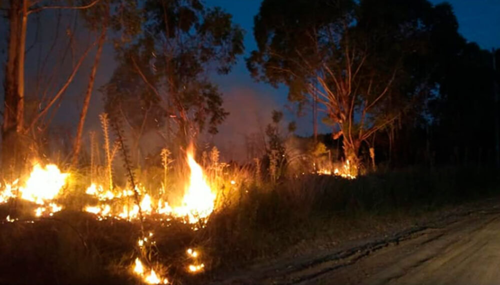 Incendios en concordia