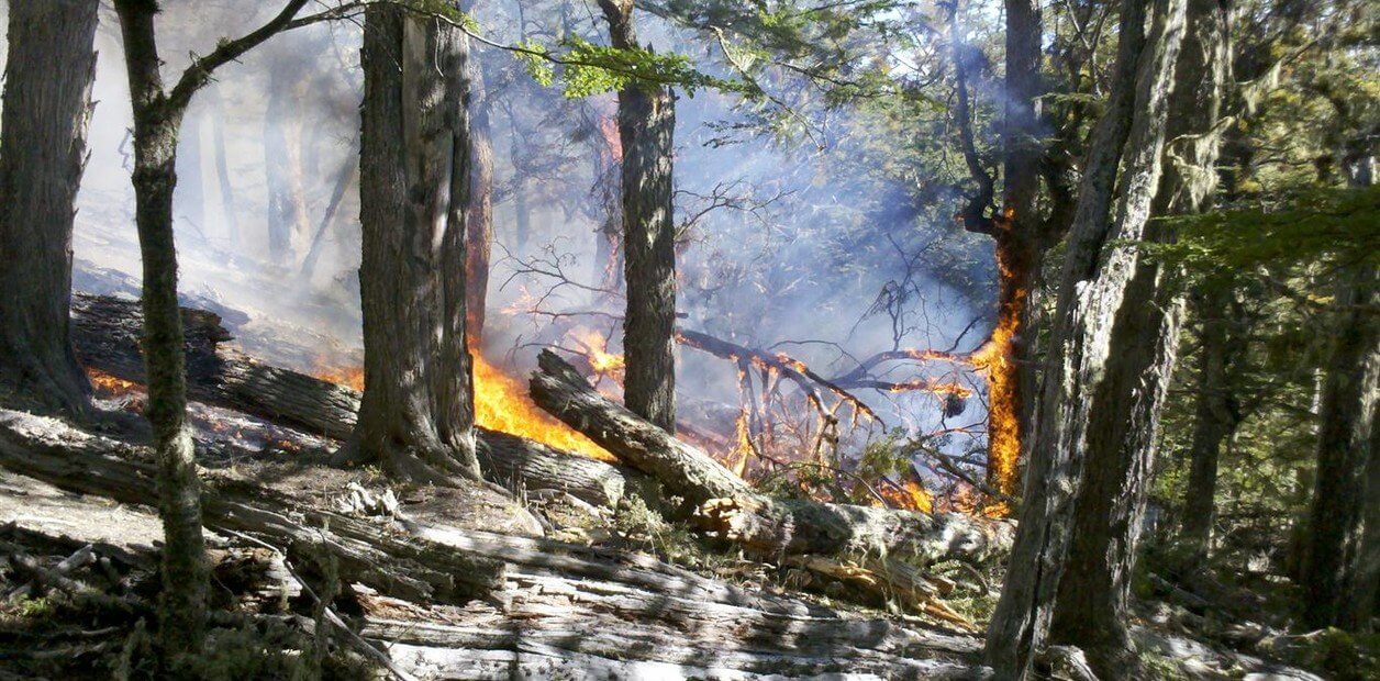 Incendio en Tierra del Fuego