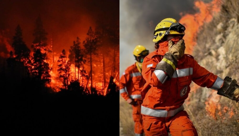 Incendios en la Patagonia