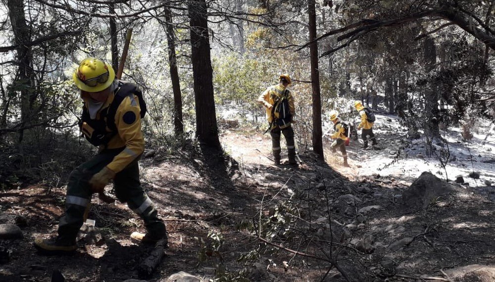 Brigadistas - Patagonia - Incendios