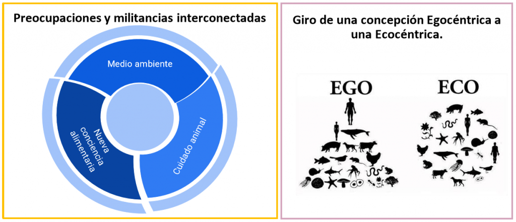 ecocentrismo