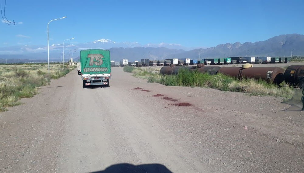 Camiones varados en Mendoza
