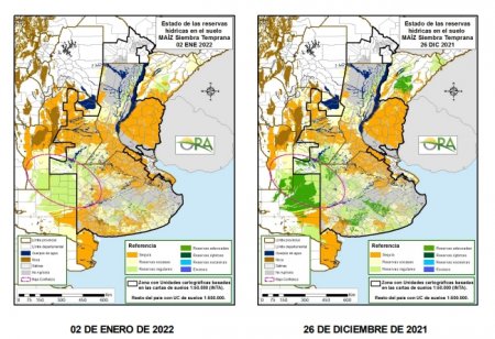 En el momento crítico, el maíz es el más castigado por la sequía y el calor 1 Maiz - Reserva de humedad