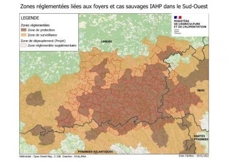 Zona en que se sacrificaran aves en Francia