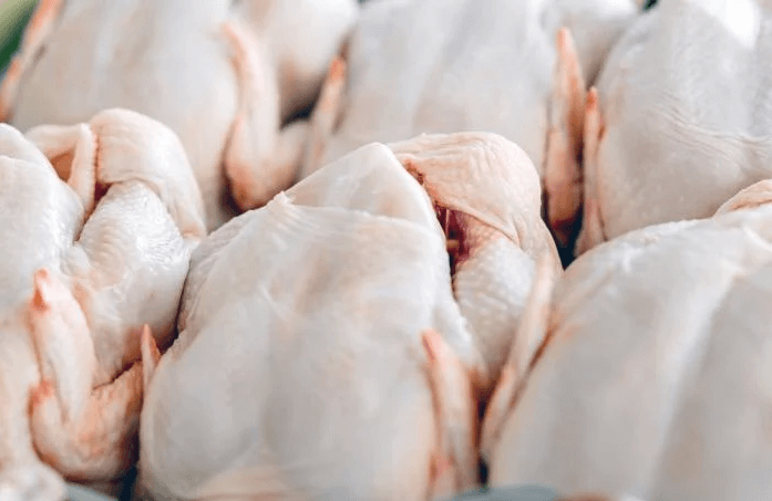 México importará 30.000 toneladas de carne aviar sin aranceles 1 carne aviar