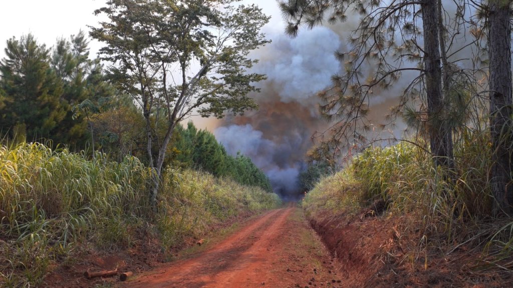 incendio misiones cra otra