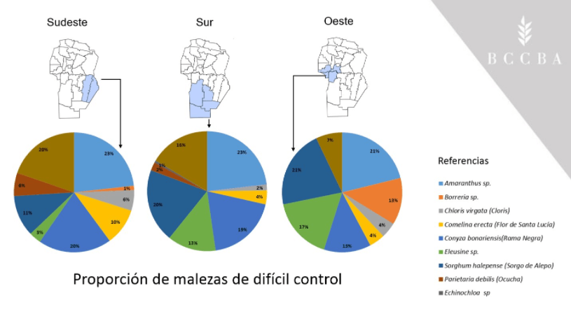 La imagen tiene un atributo ALT vacío; su nombre de archivo es malezas-cordoba-2.png