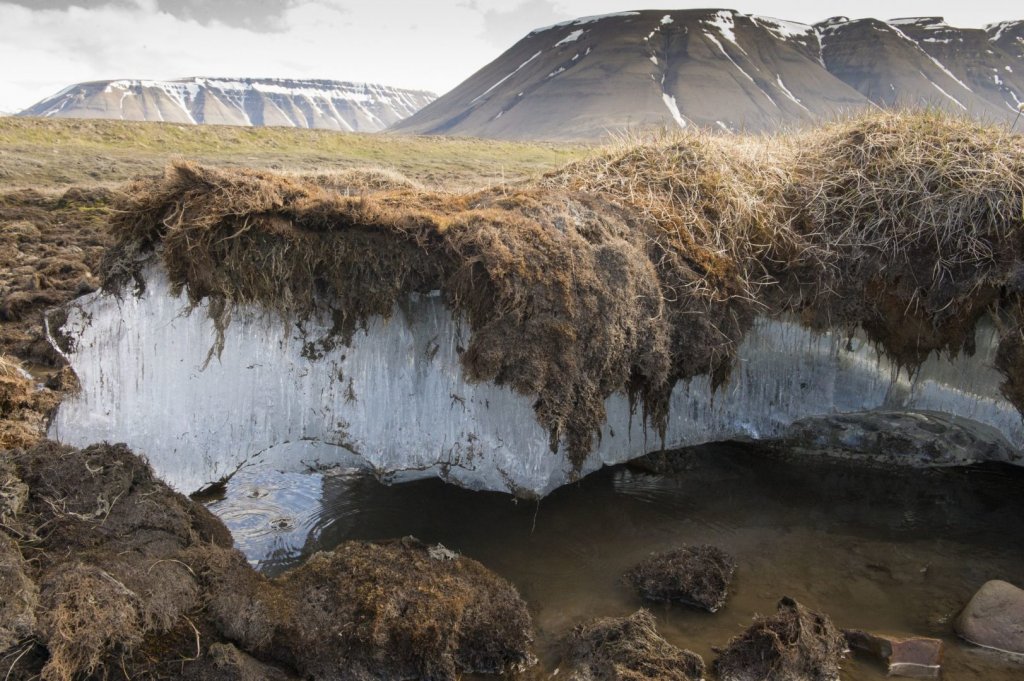 La imagen tiene un atributo ALT vacío; su nombre de archivo es permafrost-1024x681.jpg