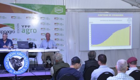 Expoagro 2022 Angus