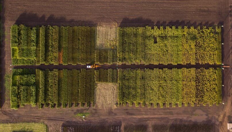 Jornada a campo: las novedades que presentó Nuseed en Venado Tuerto 4 nuseed dron