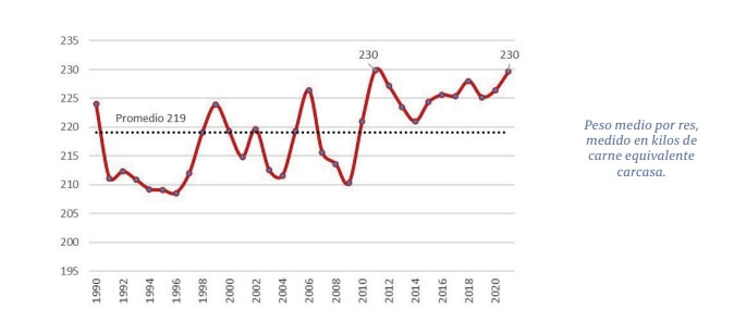 Peso medio de faena