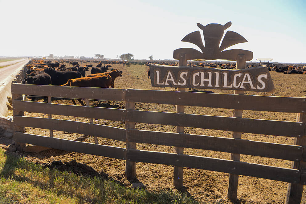 Bioenergías: un establecimiento de Córdoba que fabrica bioetanol, ahora también producirá biodiésel 1 Biodiesel Las Chilchas