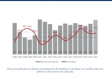 Peso de faena