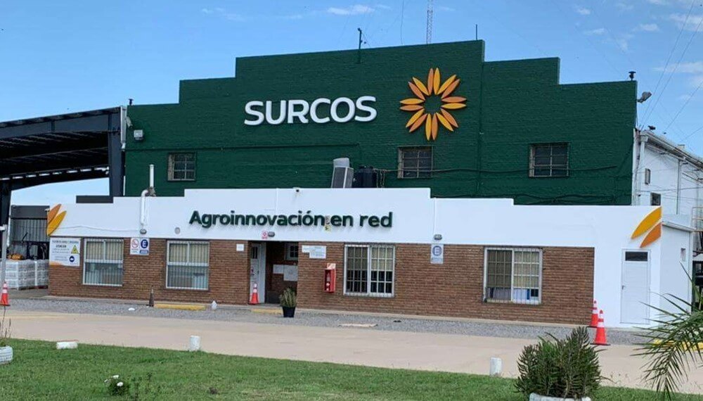 Surcos Planta