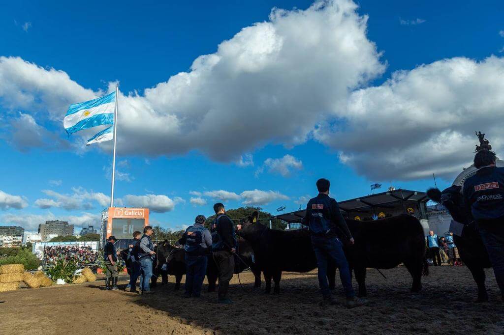 El colorado Mateo y una vaquillona Bravísima, los grandes campeones de los Angus 2 A3