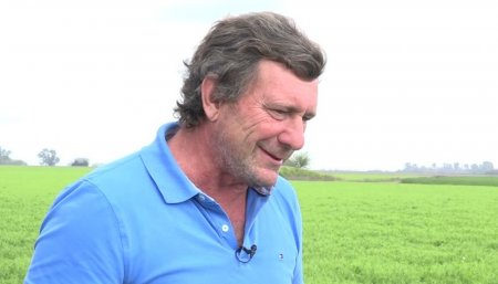 Nuevo presidente de Maizall