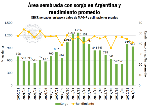 sorgo BCR