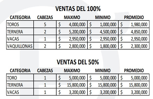 ventas brangus