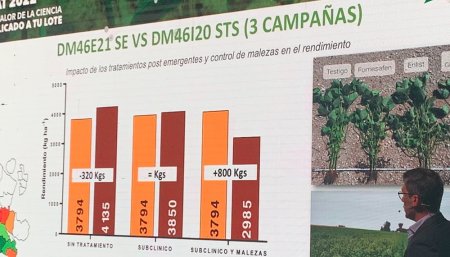 DonMario Jornada de actualizacion soja