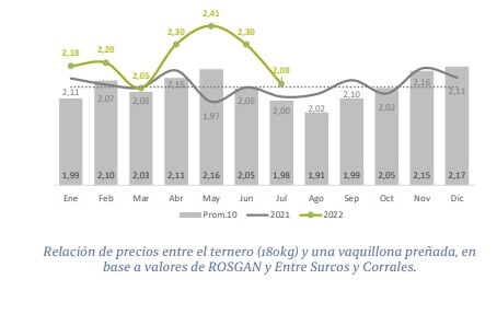 El repunte en el valor de los terneros impulsa la reposición de vientres 1 ROSGAN 11