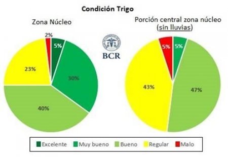 Trigo Estado