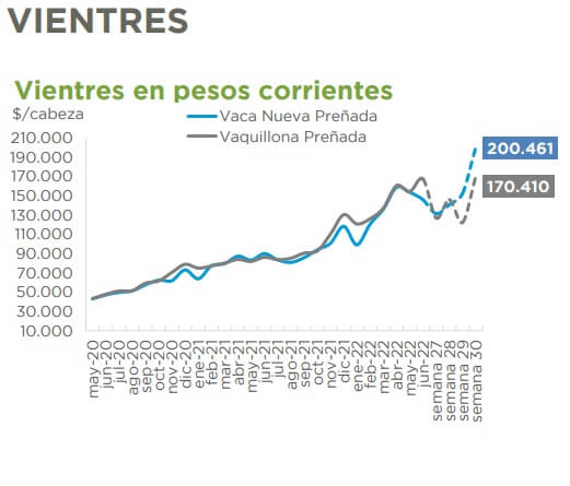 vientres precios