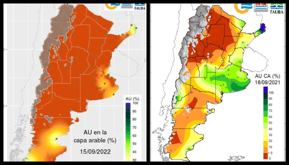 Cada campaña es única e irrepetible: el agua en los suelos lo cuenta