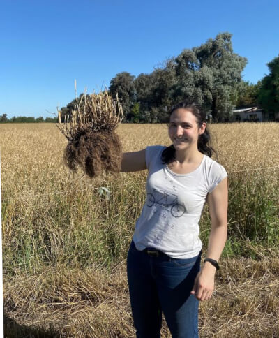 simbiosis alexia con mata