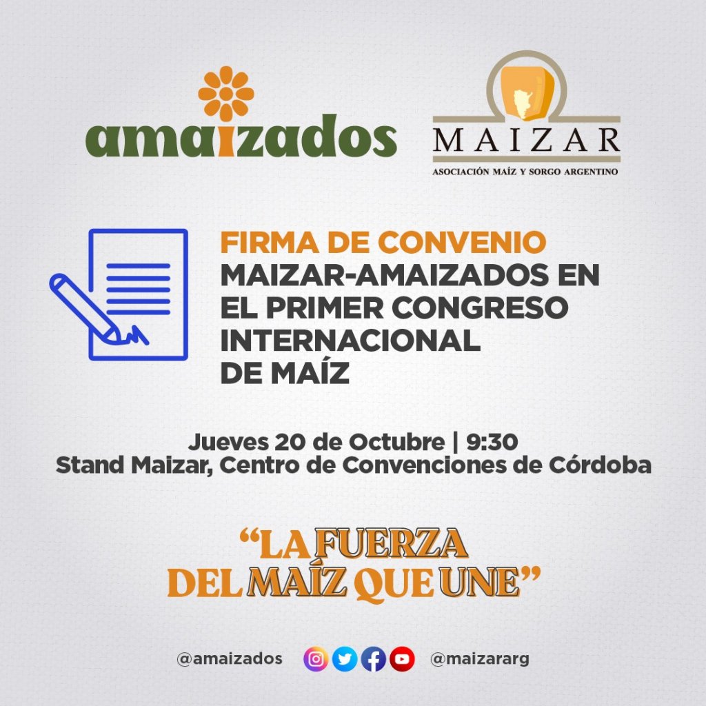 Maizar y Amaizados: una alianza para que el cereal "explote" en desarrollo y empleo 1 AMAIZADOS