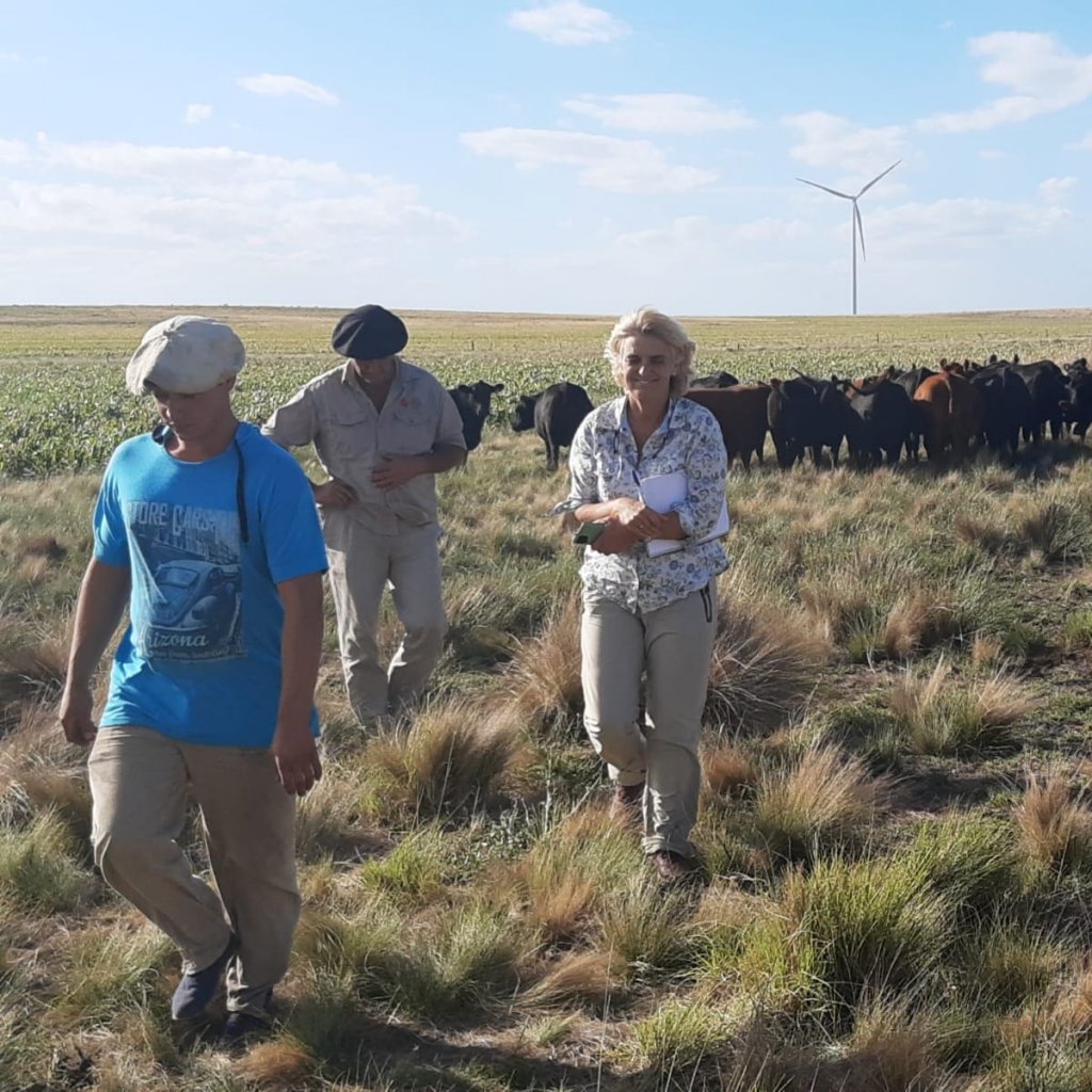 En el campo